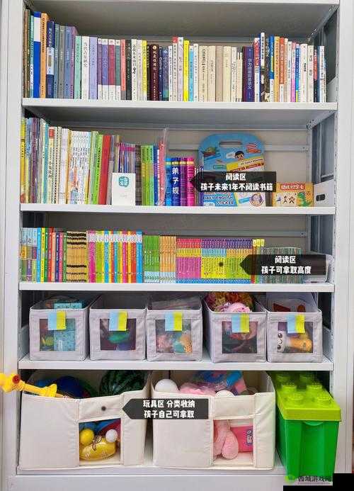 小小收纳图书馆通关攻略:如何顺利将物品收纳至图书馆