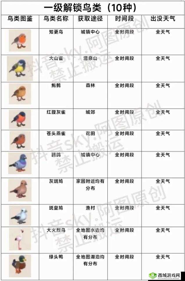 心动小镇鸟类出现位置及条件?