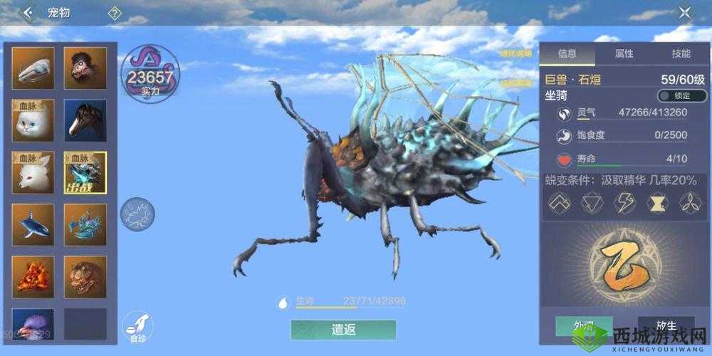 八千年石烜与玉狐谁更优？