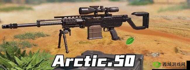 使命召唤手游 Arctic50 枪械数据分析