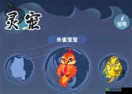 仙界幸存者灵宠获取方法及作用详细解析?