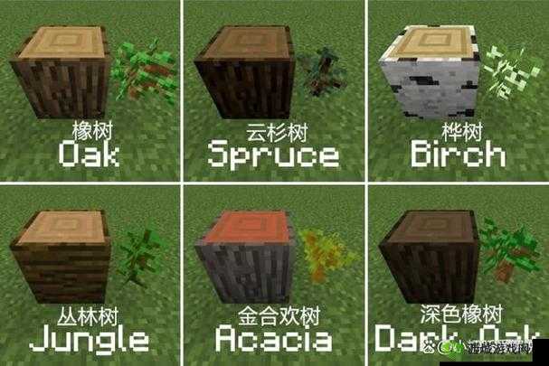 树苗如何在我的世界中成长发育?修改建议:我的世界树苗成长指南