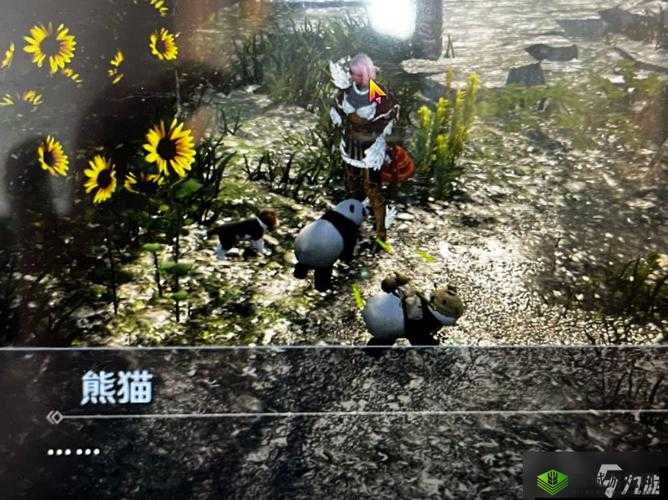 黑色沙漠手游熊猫获取方法是什么?