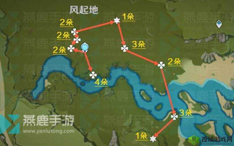 原神风车菊位置及刷新点一览