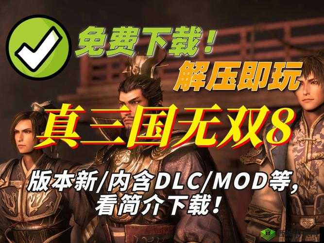 真国无双霸:中文语音设置方法指南