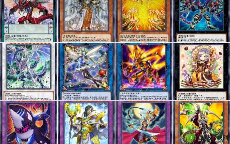 游戏王决斗链接排位上王攻略:排位上王卡组搭配推荐