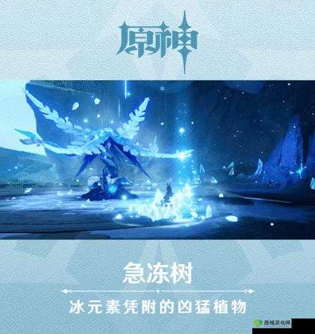 原神急冻树打法攻略:阵容与无伤击杀技巧