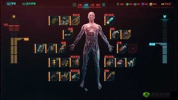 赛博朋克 2077 义体改造攻略