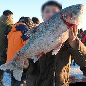 叶草剧场冬捕盛典兑换攻略:小铺哪些物品更值得兑换?