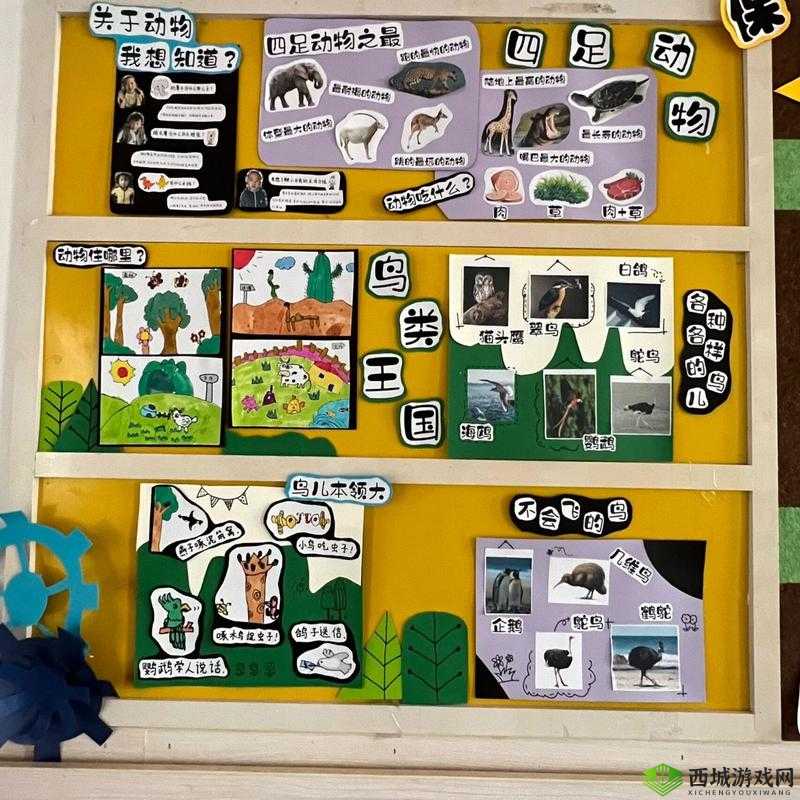 动物朋友王国商店兑换物品推荐?