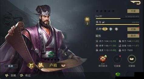 荣耀新国卢植强度解析与搭配建议