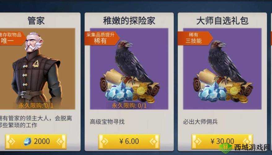 是否需购买《冰原守卫者》中的管家功能?