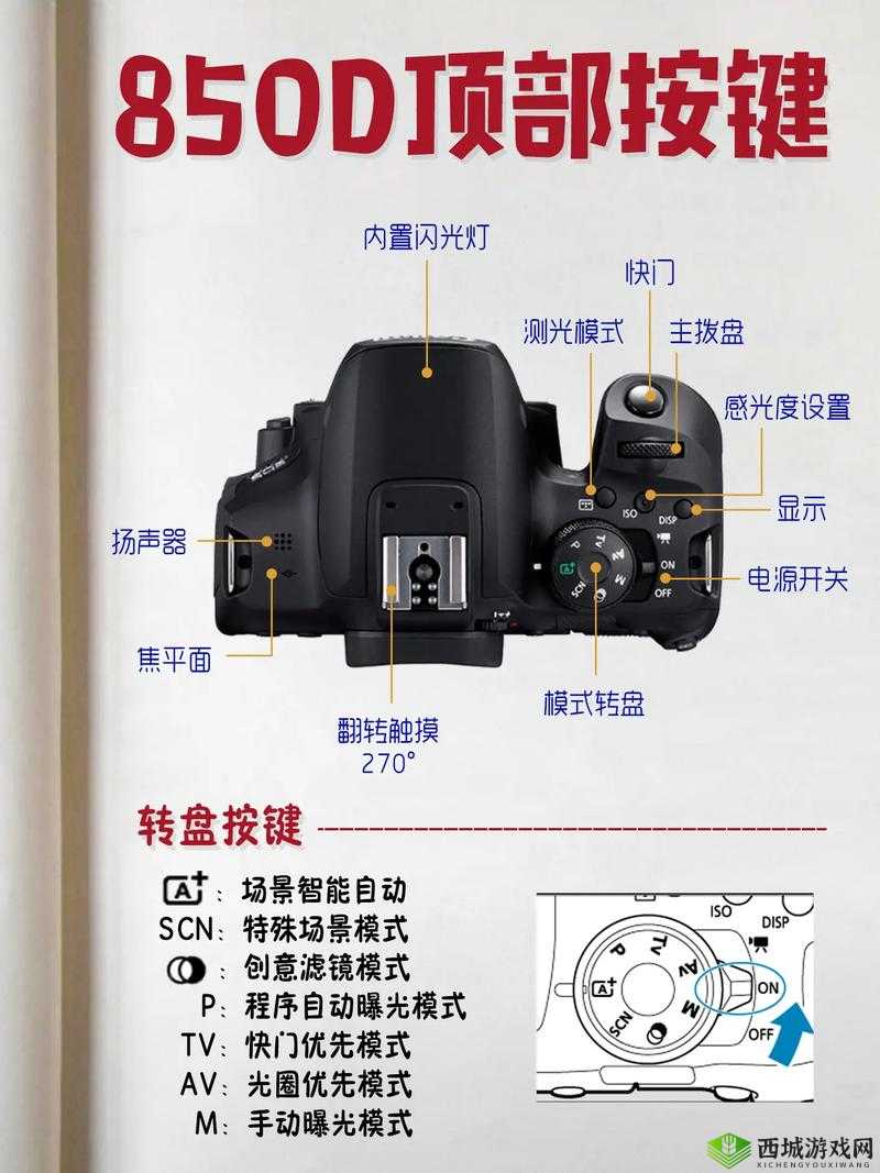 文字成精郎监控解密:通关攻略总览与实操指南