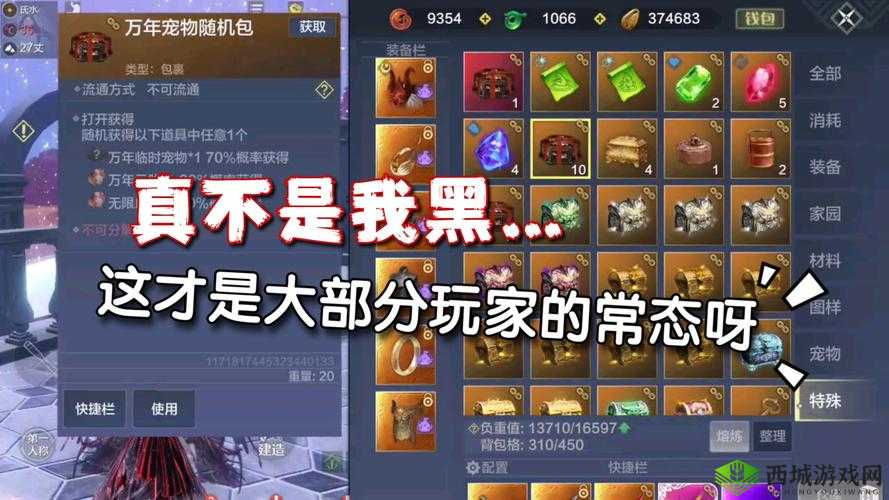 妄想山海玩具的具体作用详细介绍与全面解析