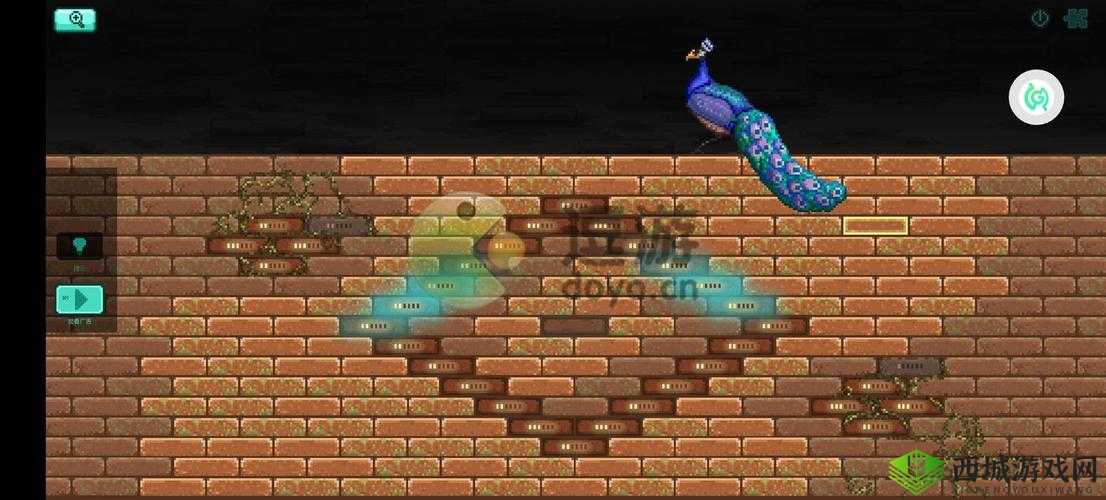 探寻孔雀墙之谜:驻留解密攻略详解