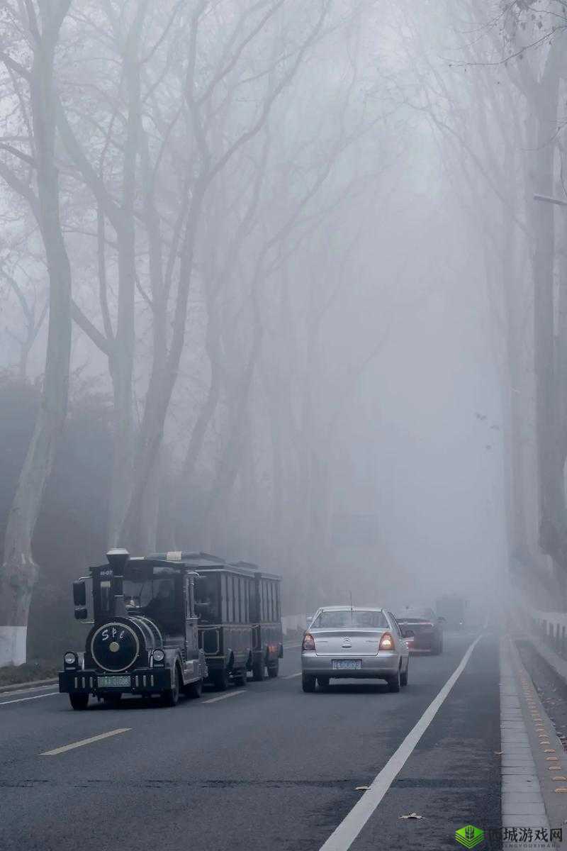 迷雾侦探解码神器：迷雾深处藏匿的译码器揭秘之旅