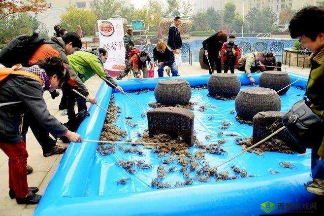 蟹王争霸赛之关键挑战:探索螃蟹更替策略的秘密