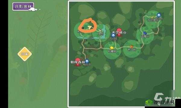 小森生活:水拓木位置及获取技巧分享,轻松获得神秘木雕