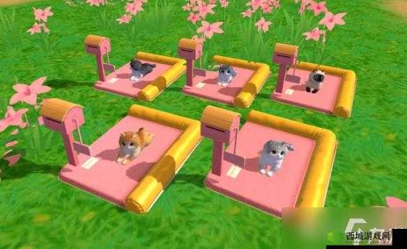 《创造与魔法：猫和猫王抓捕指南》