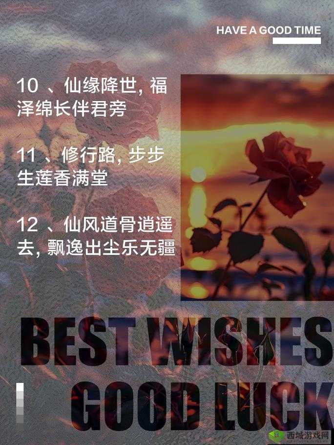 探索修行路途：杂役弟子迈向仙途新手指南