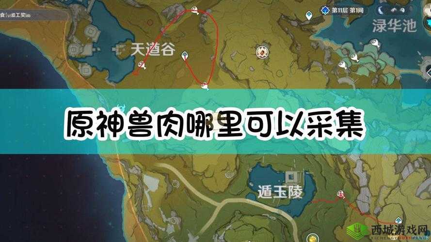原神中兽肉采集地点大揭秘 丰富资源等你探索与获取
