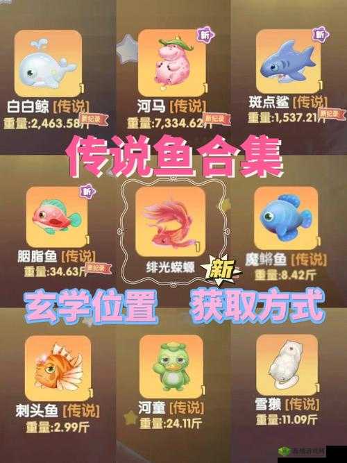 《摩尔庄园手游:中级鱼饵获取攻略》