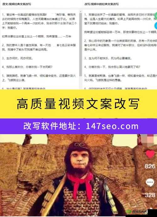 seo 短视频网页入口引流:提升流量的关键策略