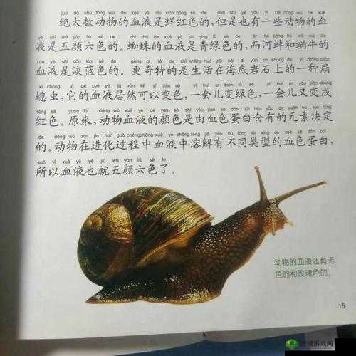 《蜗牛奇遇记:幻塔蜗牛分布与寻找指南》