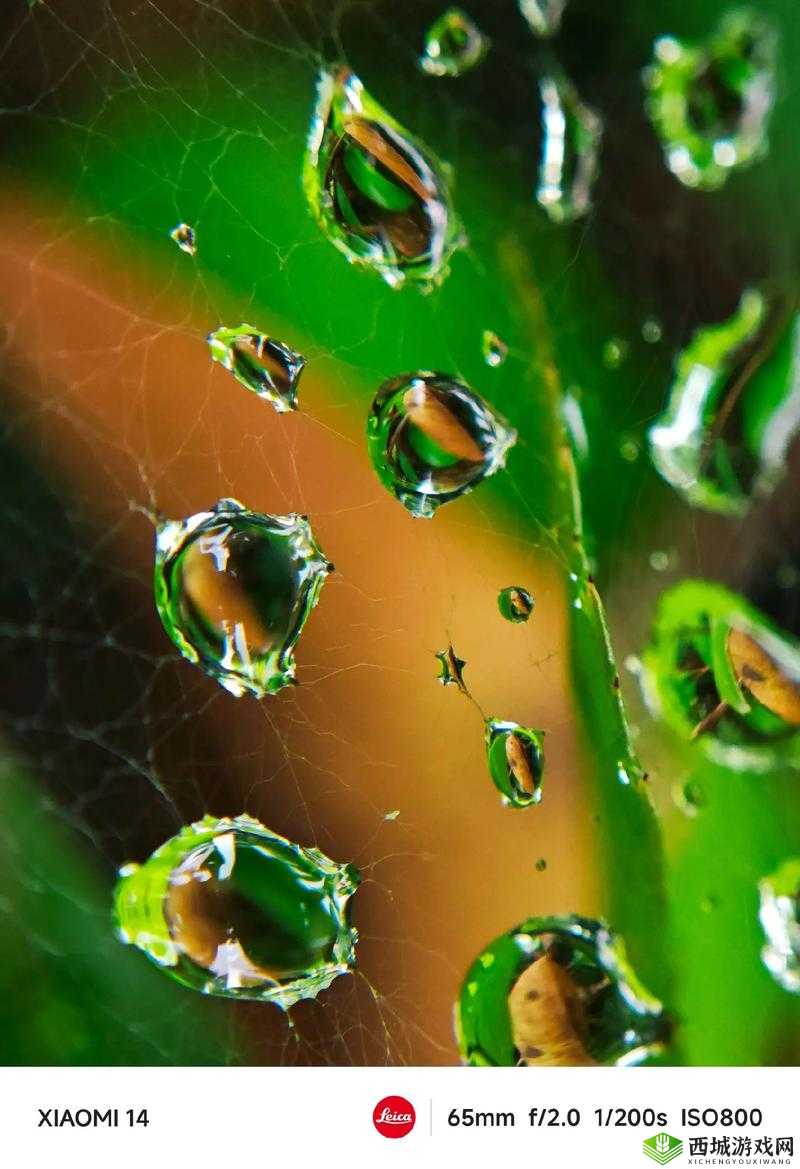 免费短视频大全:发现精彩世界