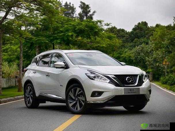 国产 SUV 精品一区二区四区三区:车型亮点介绍