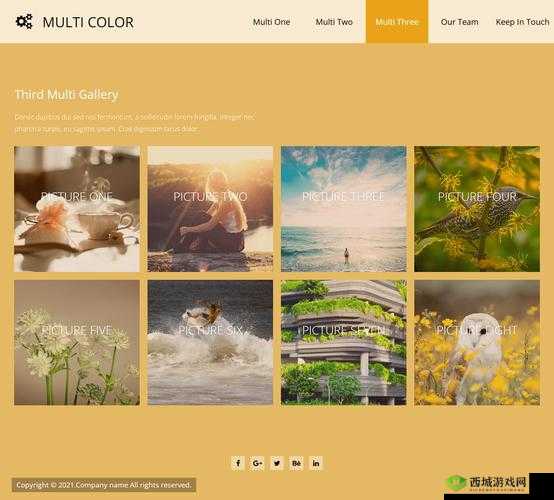 Dw 个人网站制作成品:精美呈现与创新设计