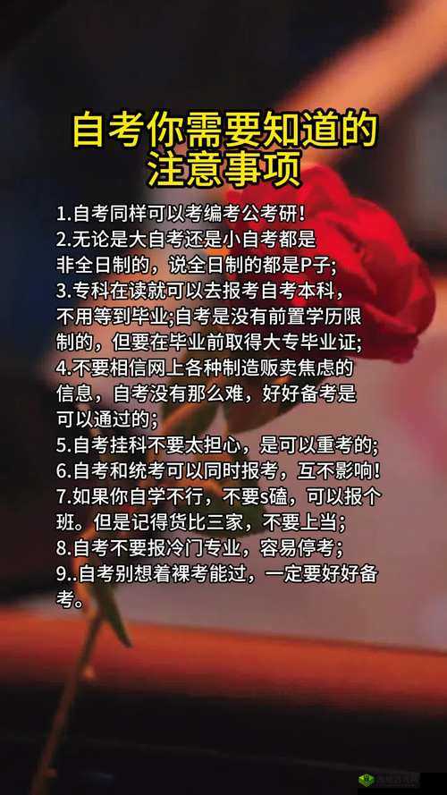 量近 2019 中文字需大全规须 1:你需要知道的一切