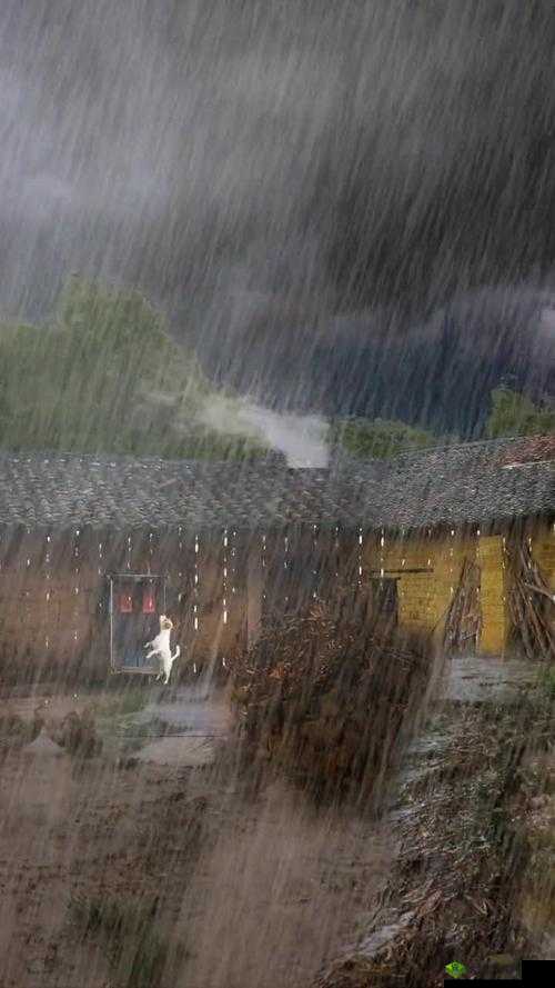 外回り中に突然の大雨一雨宿:意外之遇