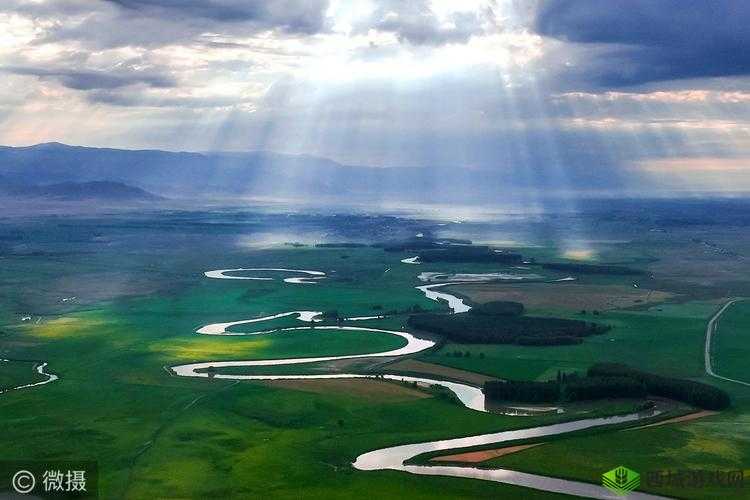 桂花婶：九曲十八弯的秘密