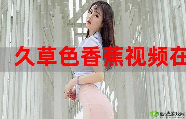 老司机带带我香蕉送给你是什么歌：解析与欣赏