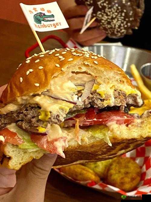 动物夜市美食探秘：正宗牛肉堡配方大公开，美味秘诀全分享