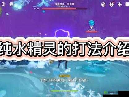 原神攻略:全面解析纯水精灵各形态打法技巧