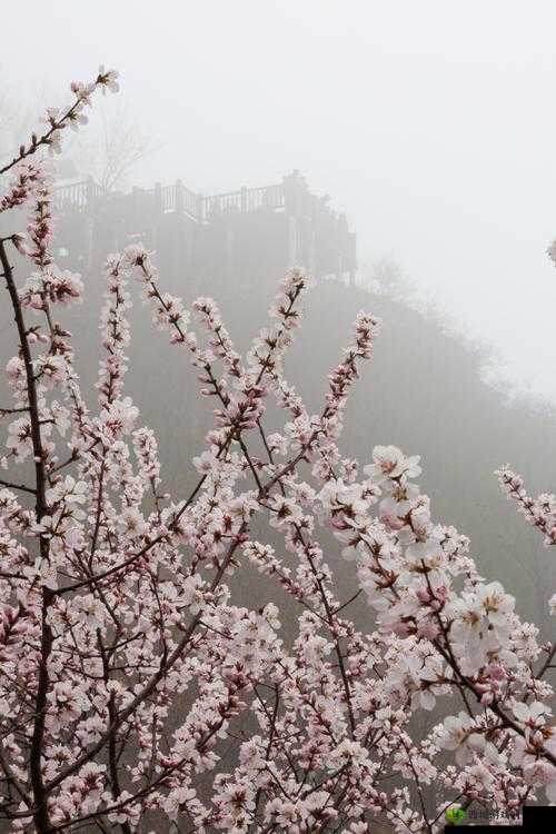 桃花洞口已是溪水潺潺:那一抹春日的灵动