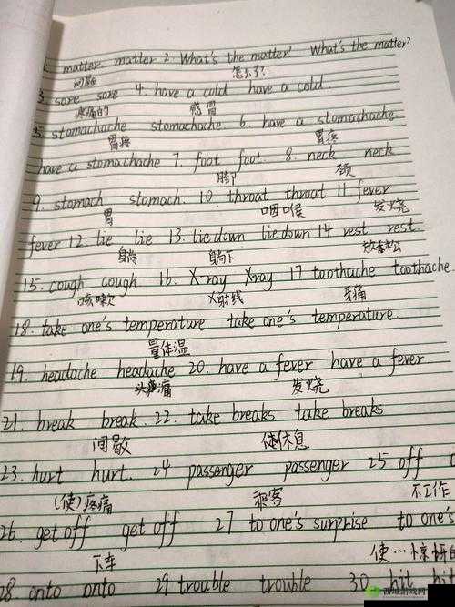 英语委员：按在桌上的作业