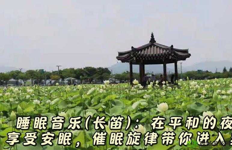摇床和喘气声音助眠:带你进入宁静梦乡