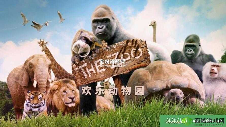 ZOOM 动物合集 VERDEOS：动物世界的奇妙之旅