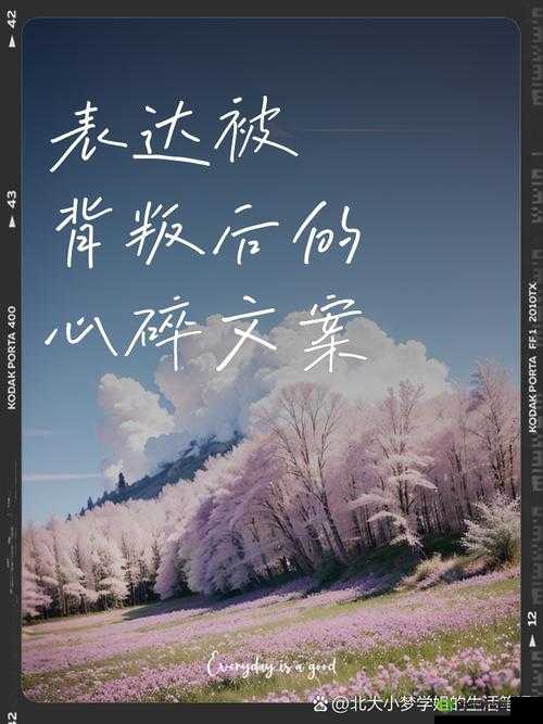 男二被主角爆炒:心碎背叛还是另有隐情?