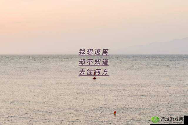 天堂に駆ける向天堂奔去:追逐梦想之光