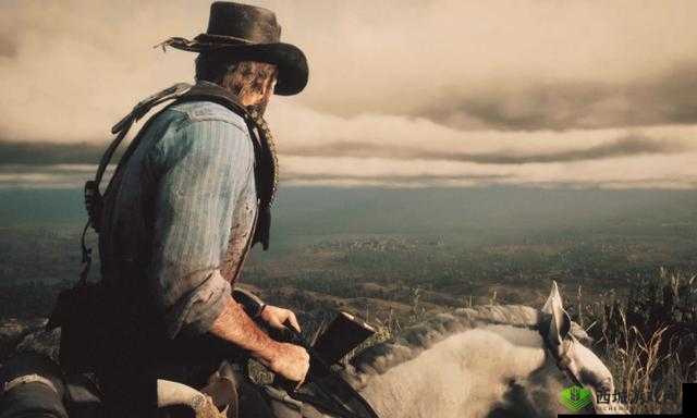 40 岁阿姨:荒野大镖客一电影导演的传奇之旅