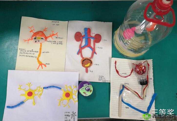 我成了生物课教具篇 1 的奇妙经历