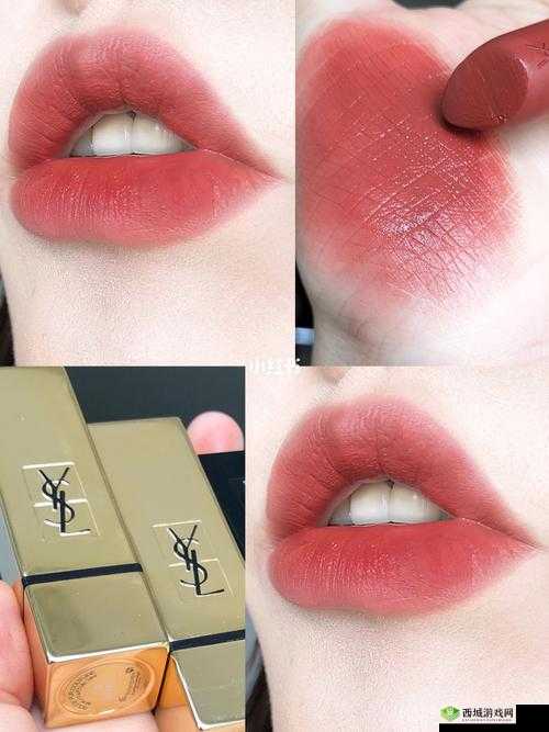 Ysl 蜜桃棕调色:时尚魅力新诠释