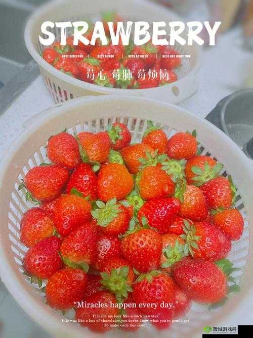 将草莓放到小洞里榨汁可以吗:探讨其可行性