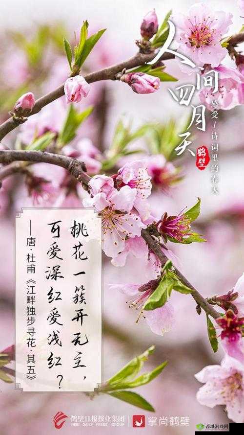 亭亭玉立国色天香四月天:最美的时节