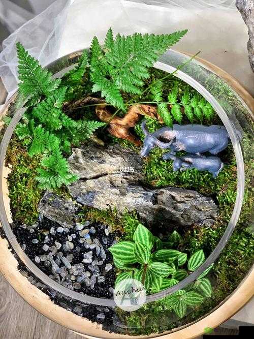 老牛嫩草一二三产品具体区别剖析