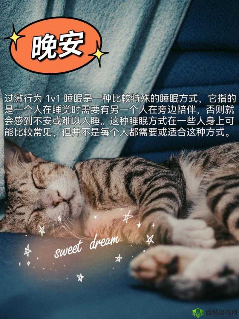 过激行为 1v1 睡眠对我很重要吗:到底有多重要